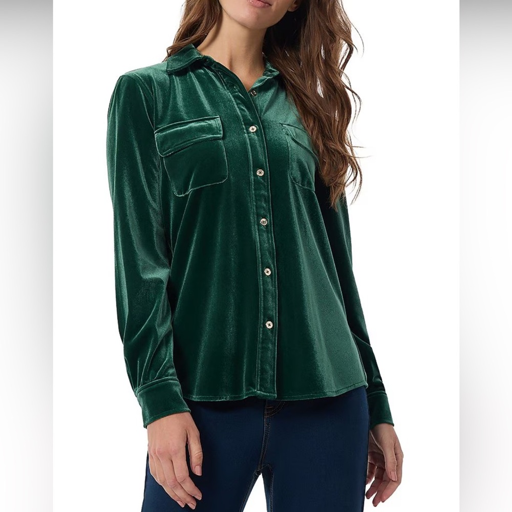 Stretch Velour Point Collar Long Sleeve Button Front Top